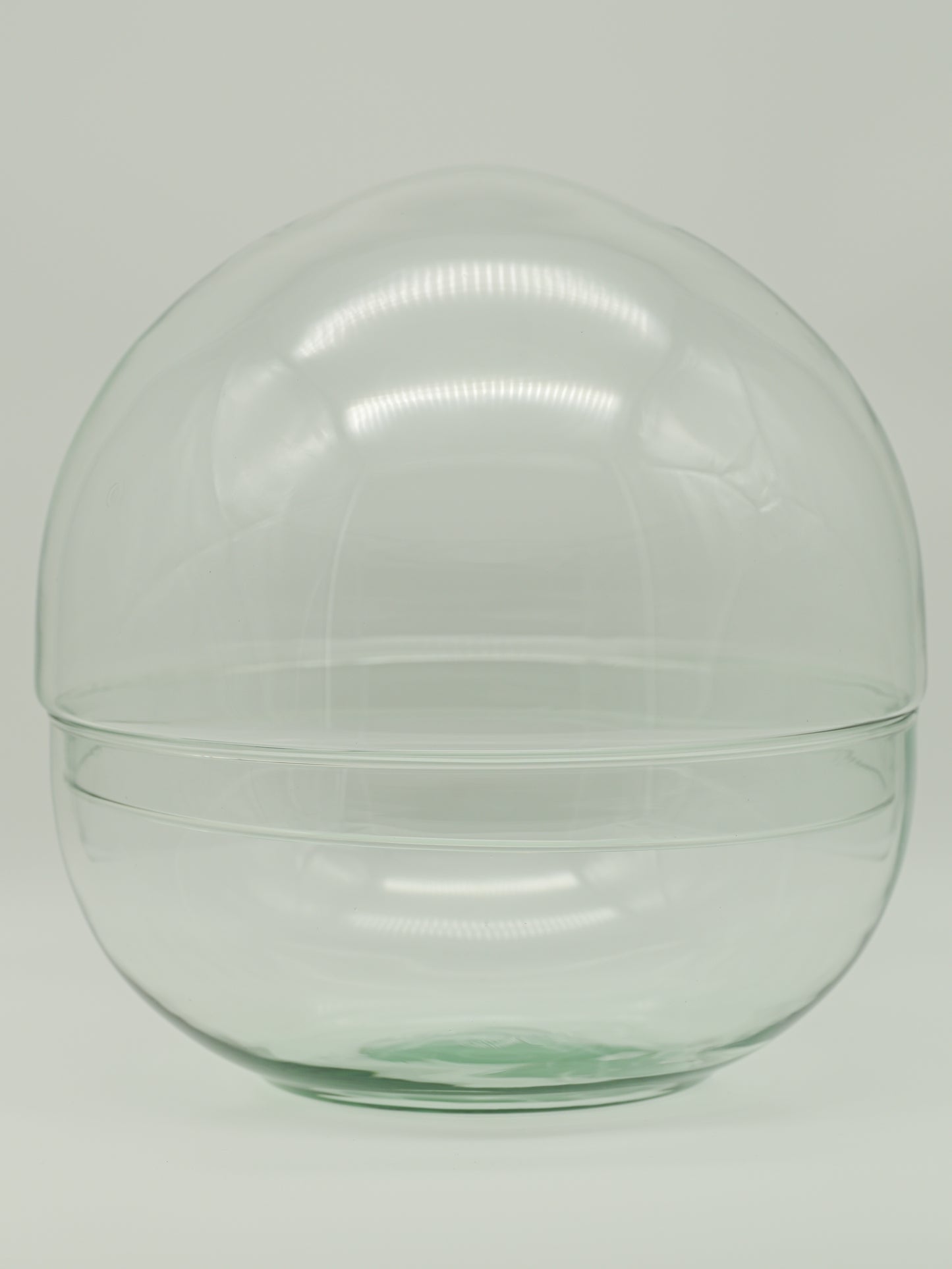 Flaschengarten Glas "Ole XL" ↥30 cm om zelf te vullen