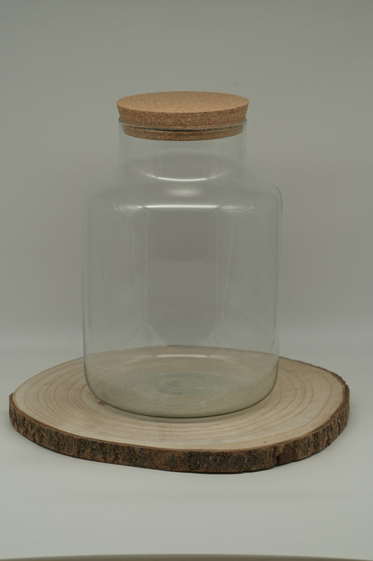 Flaschengarten Glas "Alma XL" ↥33 cm zum selbst befüllen