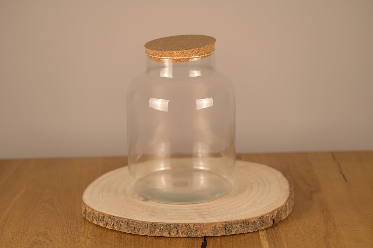 Flaschengarten "Alma XL" Set - Ökosystem im Glas