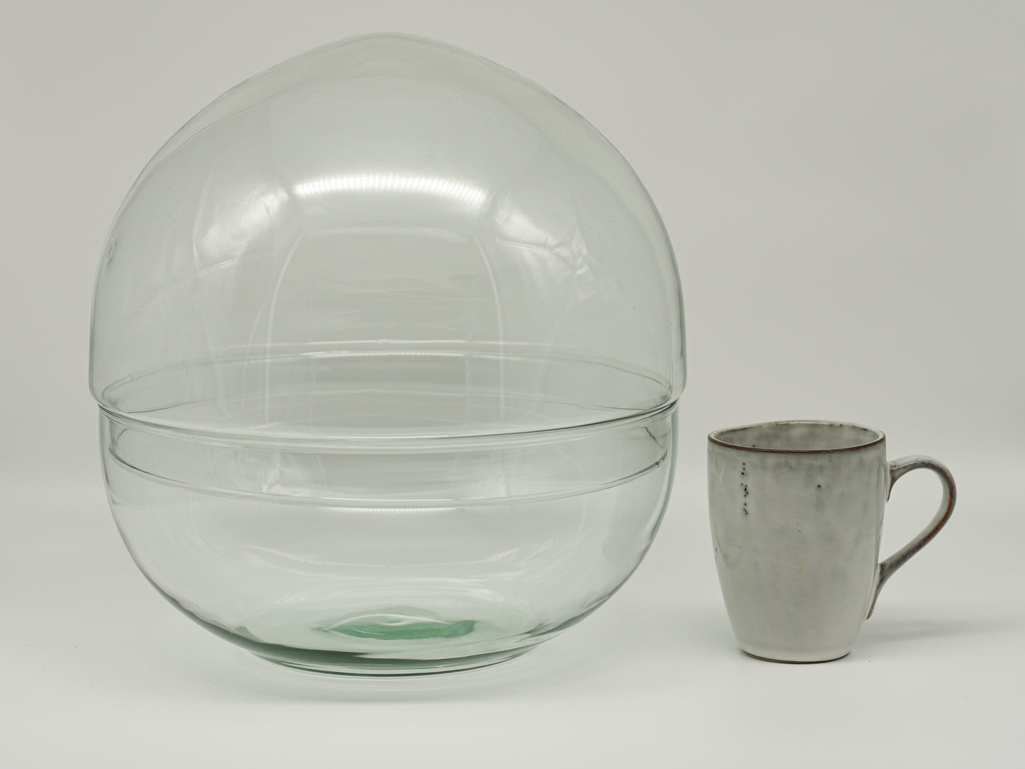 Flaschengarten Glas "Ole XL" ↥30 cm om zelf te vullen