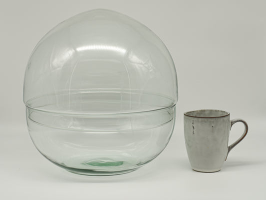 Flaschengarten Glas "Ole XL" ↥30 cm om zelf te vullen