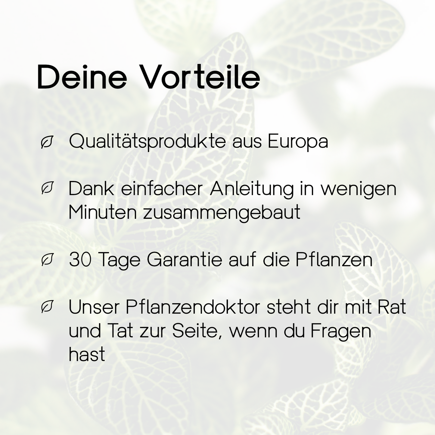 Flaschengarten "Ole XL" Jungle Set - Pflanzen im Glas ↥30 cm / ⌀30 cm