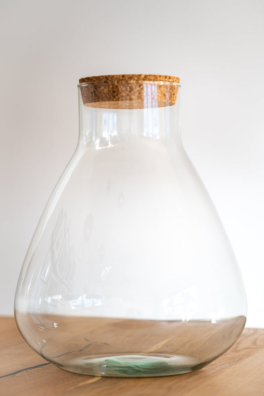 Flaschengarten Glas "Elly XL" ↥35 cm zum selbst befüllen