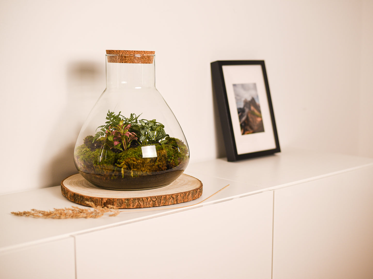 Flaschengarten "Elly XL" Jungle Set - Pflanzen Ökosystem im Glas ↥35 cm / ⌀29 cm