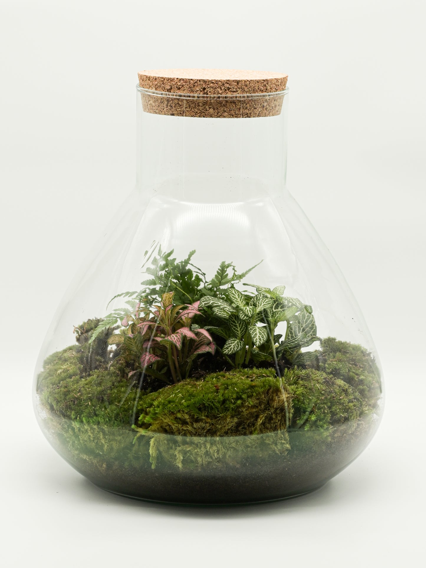 Flaschengarten "Elly XL" Jungle Set - Pflanzen Ökosystem im Glas ↥35 cm / ⌀29 cm