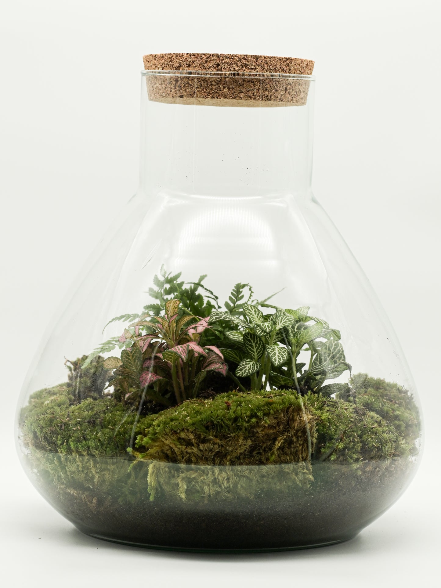 Flaschengarten "Elly XL" Jungle Set - Pflanzen Ökosystem im Glas ↥35 cm / ⌀29 cm