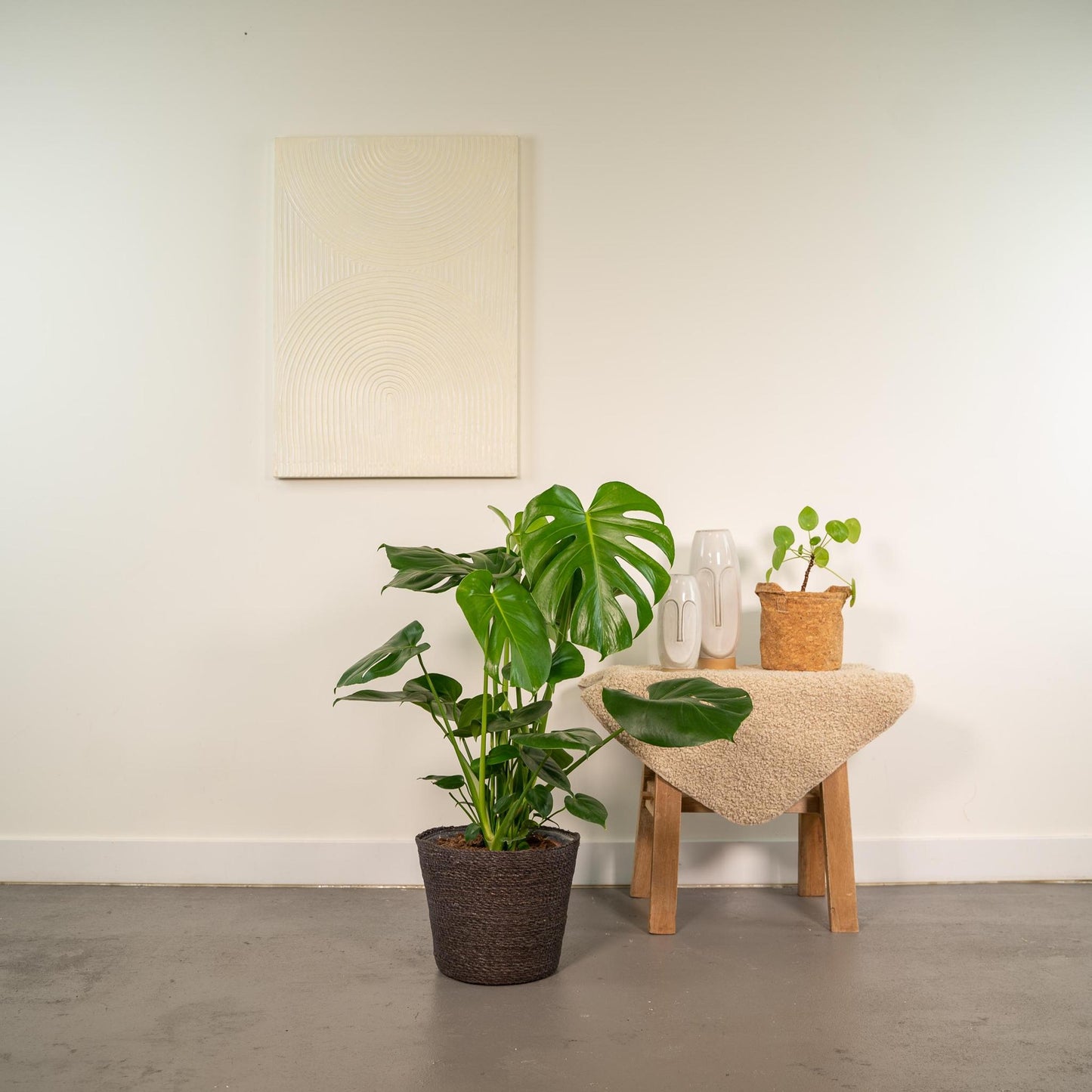 Monstera Deliciosa + Korb Igmar - ↨80cm - Ø21cm