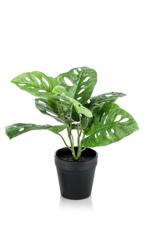 Monstera Monkey -  29 cm - kunstpflanze