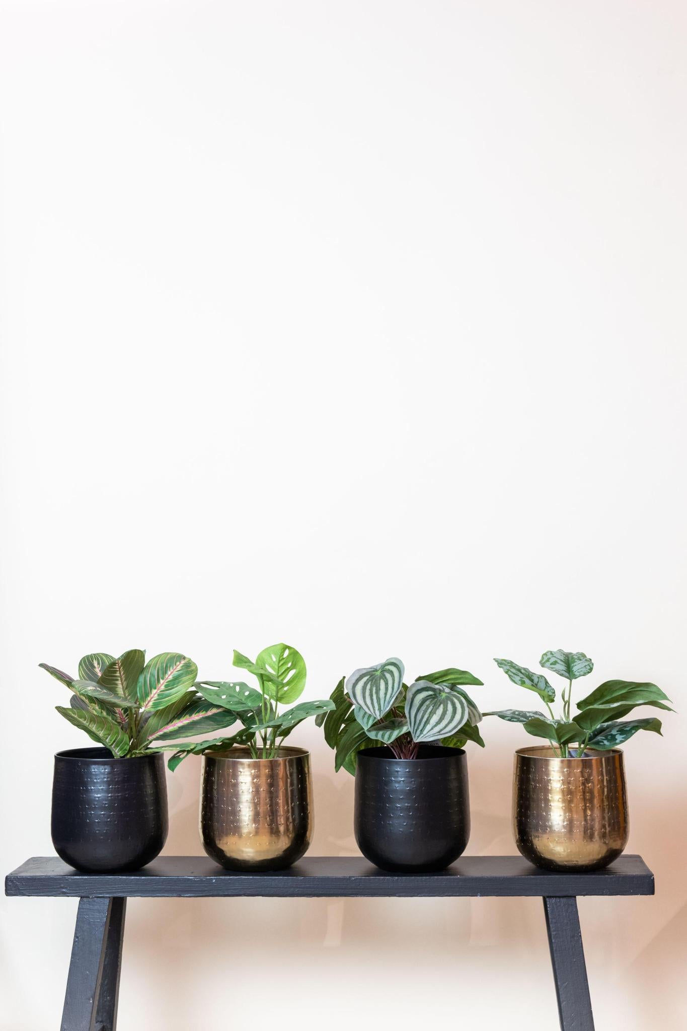 Monstera Monkey -  29 cm - kunstpflanze
